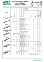 RODLESS BAND CYLINDERS WITH GUIDED OR UNHINGED CARRIER